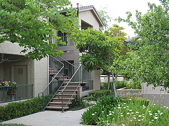 You must see our beautiful vegetation among our Senior homes!