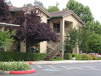 Our community is surrounded by lush vegetation!