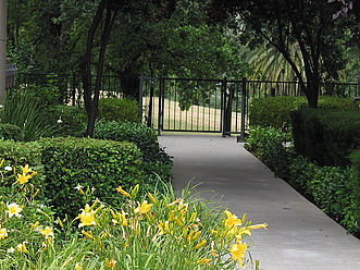 Beautiful lush vegetation surrounds our Senior 55+ Community!
