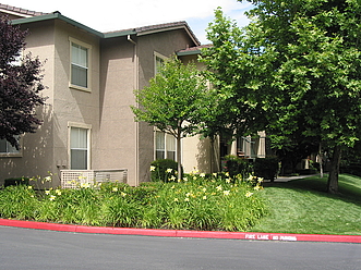 Among the beautiful flowers and mature trees are lush grassy areas to walk your small pets!