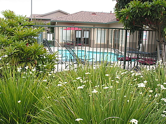 Our relaxing pool in a lush setting~