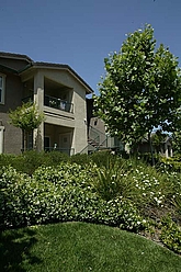 Downstairs and Upstairs apartments are offered!